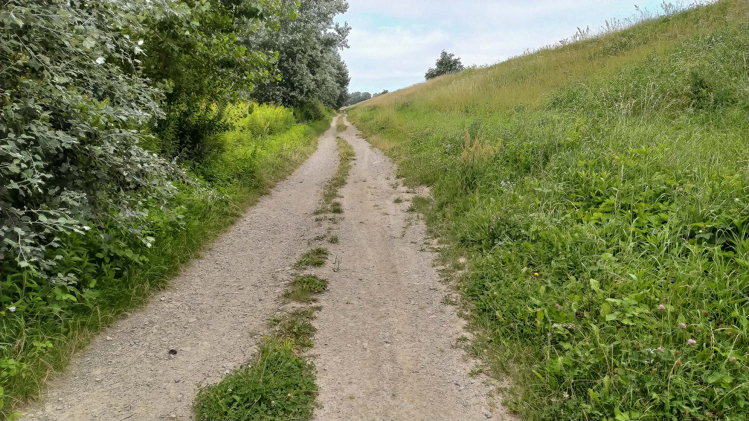 IMG 20200801 084708 kopia